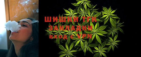 амфетамин Ельня