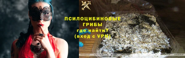 шишки Елизово