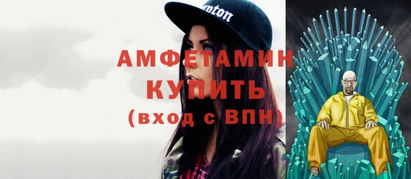 шишки Елизово
