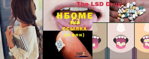 хмурый Елабуга