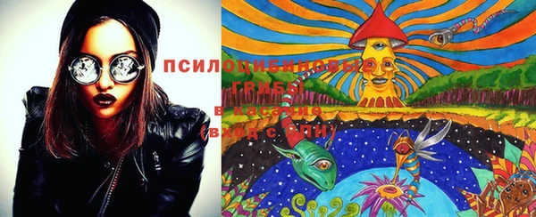 хмурый Елабуга