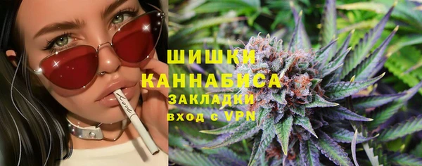 шишки Елизово