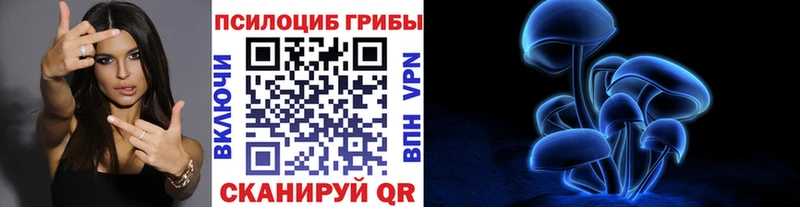 Галлюциногенные грибы Psilocybe  Купить закладки  Пошехонье 